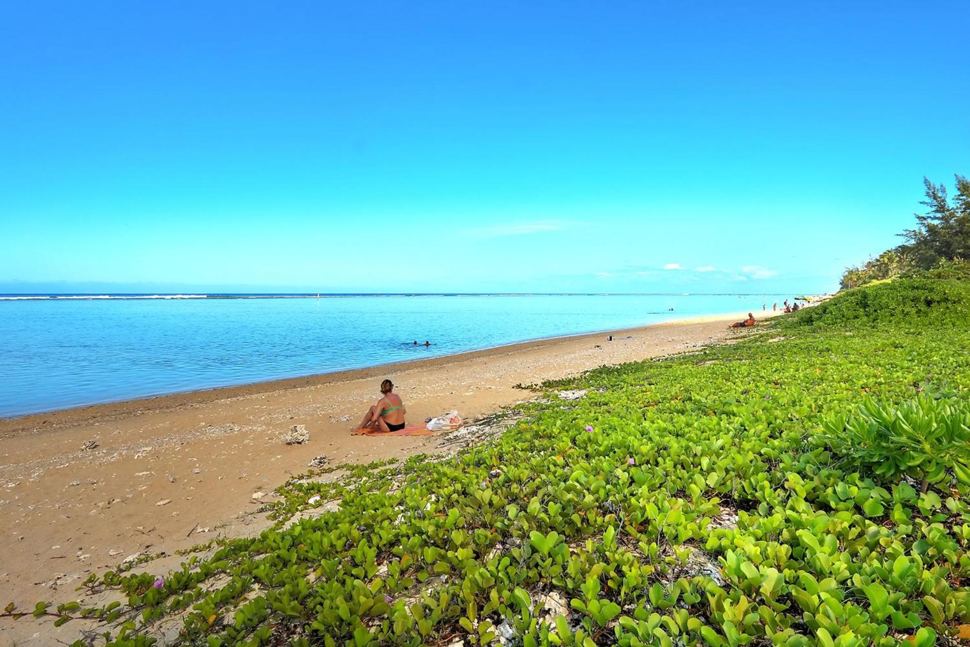 Exceptionnel ! Le Kazuarina, Tres Bel Apt F3 A 50M De La Plage De La Saline Les Bains Exterior foto